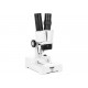 Konus Opal 20x Mikroskop